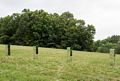 Gordon Przybyla and Damon Jespersen: Untitled.<br />Outdoor Sculpture Show.<br />Sep. 10, 2016 - Maudlay State Park, Newburyport, Massachusetts.