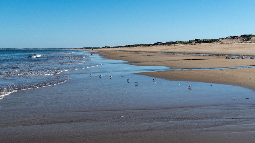 Looking south.<br />Sep. 13, 2016 - Parker River National Wildlife Refuge, Plum Island, Massachusetts.
