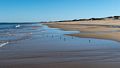 Looking south.<br />Sep. 13, 2016 - Parker River National Wildlife Refuge, Plum Island, Massachusetts.