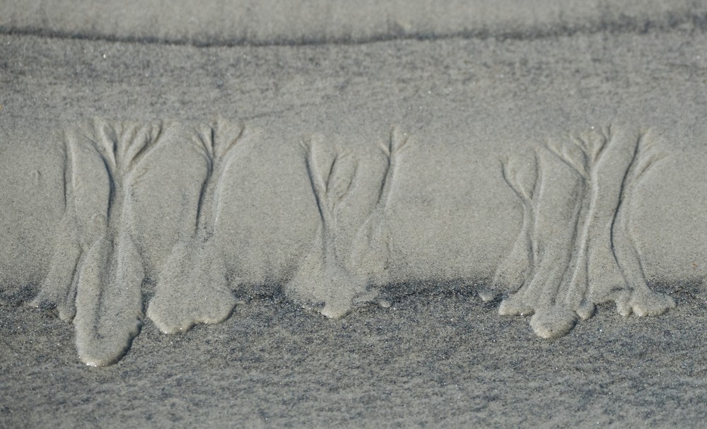 Sand formation.<br />Walk north of parking lot #6.<br />Sep. 22, 2016 - Parker River National Wildlife Refuge, Plum Island, Massachusetts.