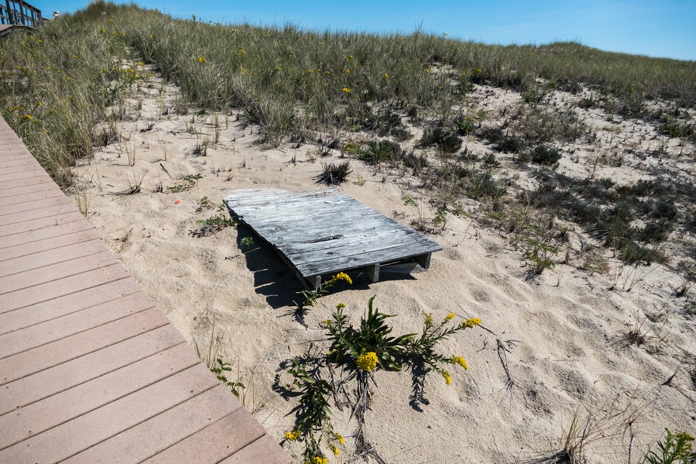 Vestiges of the old boardwalk.<br />Walk north of parking lot #6.<br />Sep. 22, 2016 - Parker River National Wildlife Refuge, Plum Island, Massachusetts.