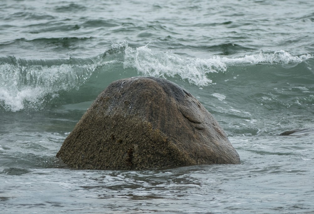 The rock at Sandy Point.<br />Oct 8, 2016 - Sandy Point State Reservation, Plum Island, Massachusetts.