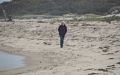 Joyce near parking lot #7 access.<br />Oct. 8, 2016 - Parker River National Wildlife Refuge, Plum Island, Massachusetts.