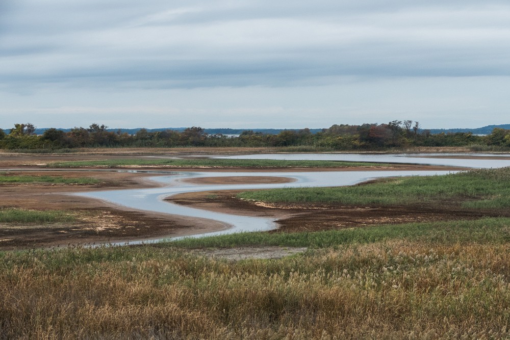 Marsh and Stage Island Pool from observation tower of lot #7.<br />Oct. 8, 2016 - Parker River National Wildlife Refuge, Plum Island, Massachusetts.