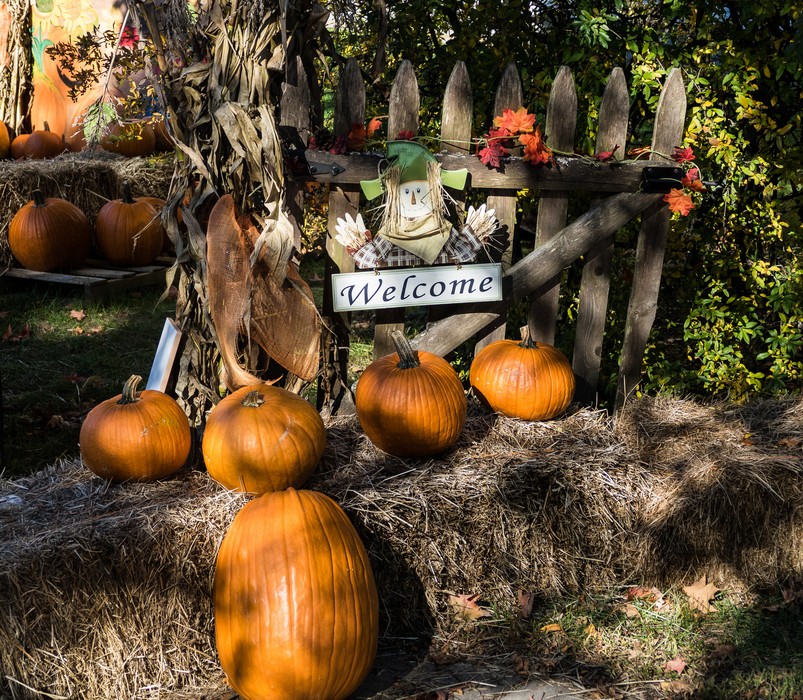 Pumkin sale at the Main Street Congregational Church.<br />Oct. 14, 2016 - Amesbury, Massachusetts.