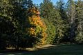 Fall foliage.<br />Oct. 14, 2016 - Maudslay State Park, Newburyport, Massachusetts.