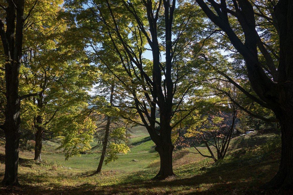 Oct. 17, 2016 - Charles W. Ward Reservation, Andover, Massachusetts.