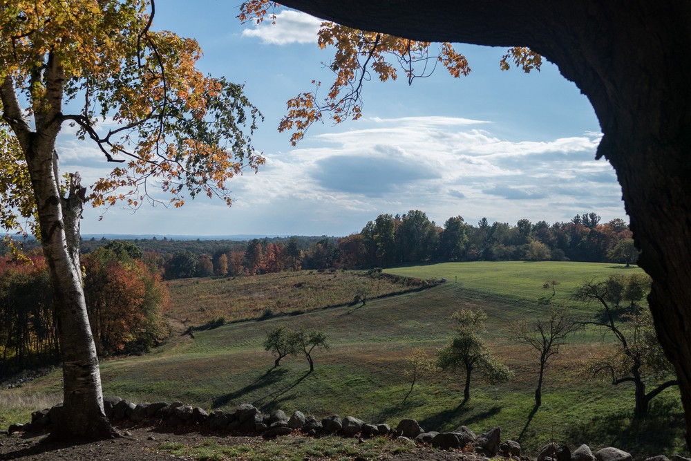 Oct. 17, 2016 - Charles W. Ward Reservation, Andover, Massachusetts.