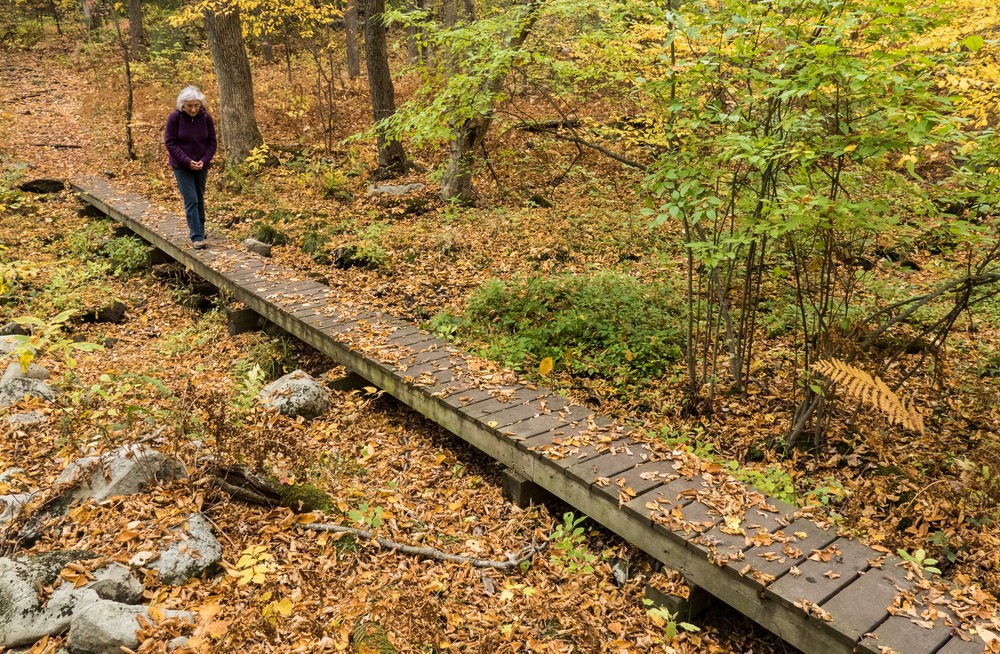 Joyce.<br />Along the Blue Trail.<br />Oct. 20, 2016 - Charles W. Ward Reservation, Andover, Massachusetts.