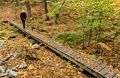 Joyce.<br />Along the Blue Trail.<br />Oct. 20, 2016 - Charles W. Ward Reservation, Andover, Massachusetts.