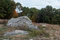 Elephant Rock.<br />Along the Blue Trail.<br />Oct. 20, 2016 - Charles W. Ward Reservation, Andover, Massachusetts.