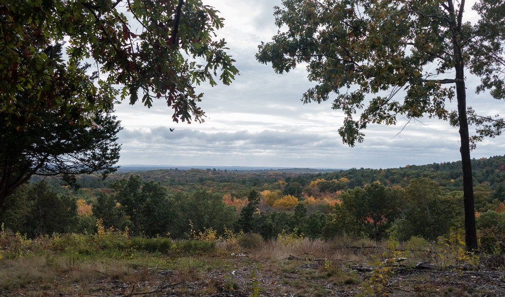 Along the Blue Trail.<br />Oct. 20, 2016 - Charles W. Ward Reservation, Andover, Massachusetts.