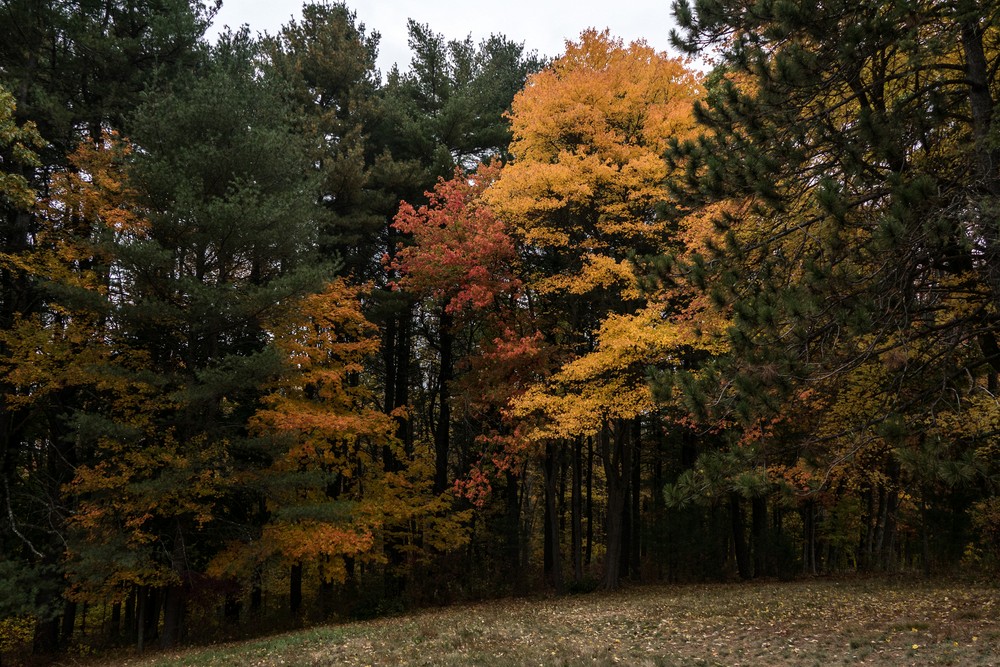 Oct. 20, 2016 - Charles W. Ward Reservation, Andover, Massachusetts.