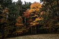 Oct. 20, 2016 - Charles W. Ward Reservation, Andover, Massachusetts.