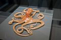 An octopus made out of glass.<br />With the grandkids at the Harvard Museum of Natural History.<br />Dec. 27, 2016 - Cambridge, Massachusetts.