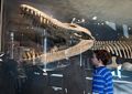Matthew.<br />Dinosaur skleton.<br />With the grandkids at the Harvard Museum of Natural History.<br />Dec. 27, 2016 - Cambridge, Massachusetts.