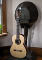 Oscar's latest guitar in front of Joyce's sculpture.<br />Jan 21, 2017 - At home in Merrimac, Massachusetts.
