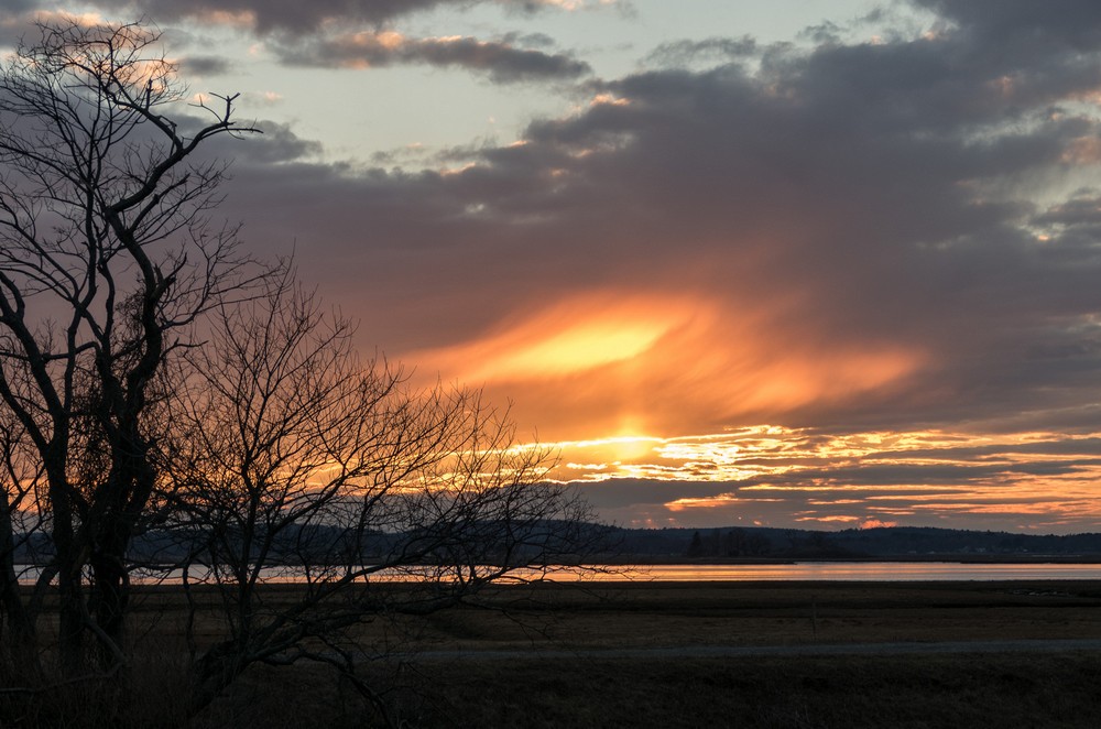A three mile walk with Joyce.<br />Jan. 29, 2017 - Parker River National Wildlife Refuge, Plum Island, Massachusetts.