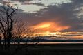 A three mile walk with Joyce.<br />Jan. 29, 2017 - Parker River National Wildlife Refuge, Plum Island, Massachusetts.