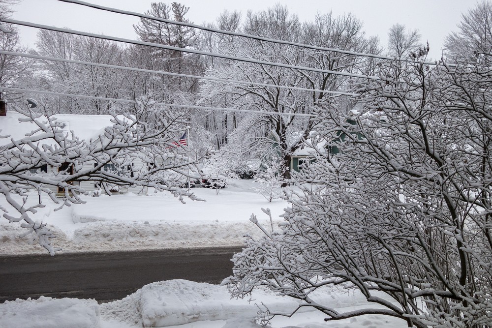 Looking out the front door the morning after a snowstorm.<br />Feb. 16, 2016 - At home in Merrimac, Massachusetts.