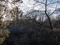 Off the Dues Trail at Hellcat Swamp.<br />Feb. 23, 2017 -  Parker River National Wildlife Refuge, Plum Island, Massachusetts.