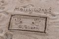 Miranda's artwork on the beach.<br />Feb. 23, 2017 -  Parker River National Wildlife Refuge, Plum Island, Massachusetts.