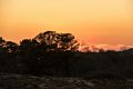 Just after sunset from boardwalk to parking lot #3.<br />Feb. 23, 2017 -  Parker River National Wildlife Refuge, Plum Island, Massachusetts.