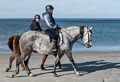 Two women on horseback.<br />Feb. 24, 2017 - Crane Beach, Ipswich, Massachusetts.