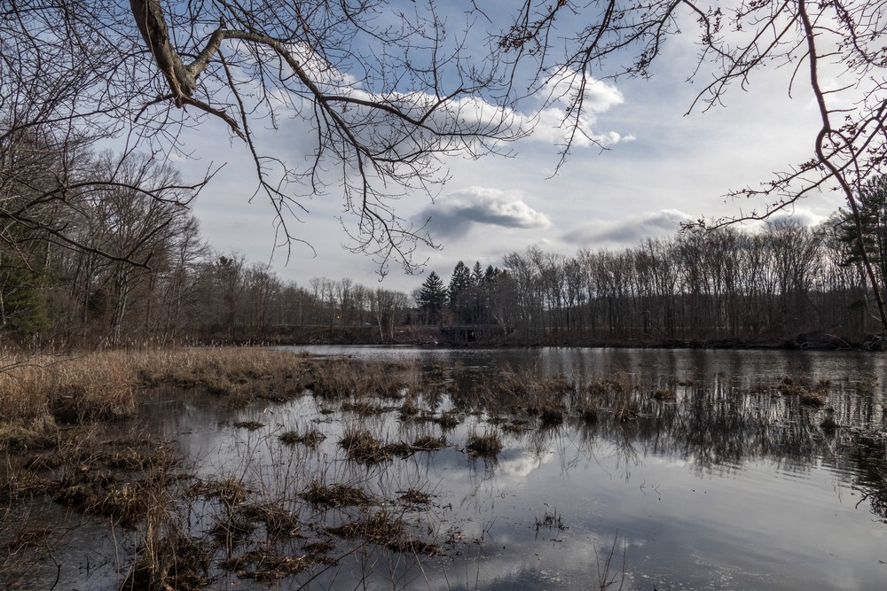 View of the Artichoque River and Rt. 113 bridge.<br />March 3, 2017 - Maudslay State Park, Newburyport, Massachusetts.