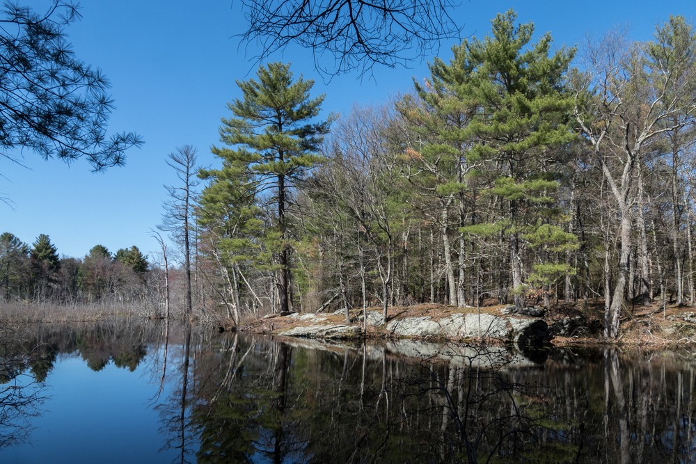 April 23, 2017 - Mass Audubon Broadmoor Wildlife Sanctuary, Natick, Massachusetts.