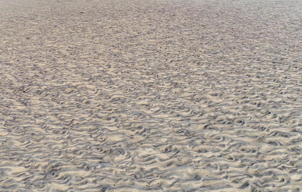 April 30, 2017 - Sandy Point State Reservation, Plum Island, Massachusetts.