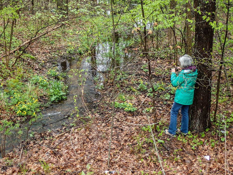 Joyce photographing some spring flowers.<br />On our usual 2 mile walk.<br />May 6, 2017 - Merrimac, Massachusetts.