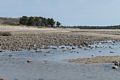 May 17, 2017 - Drakes Island, Wells, Maine.