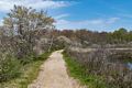 May 17, 2017 - Wells National Estuarine Research Reserve, Maine.