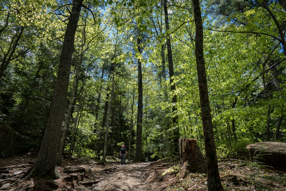 Matthew on way up to South Peak.<br />May 27, 2017 - Pawtuckaway State Park, Nottingham, New Hampshire.