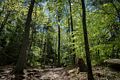 Matthew on way up to South Peak.<br />May 27, 2017 - Pawtuckaway State Park, Nottingham, New Hampshire.