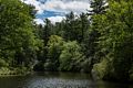 A walk with Joyce in the park.<br />June 2, 2017 - Maudslay State Park, Newburyport, Massachusetts.