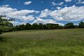 A walk with Joyce in the park.<br />June 2, 2017 - Maudslay State Park, Newburyport, Massachusetts.