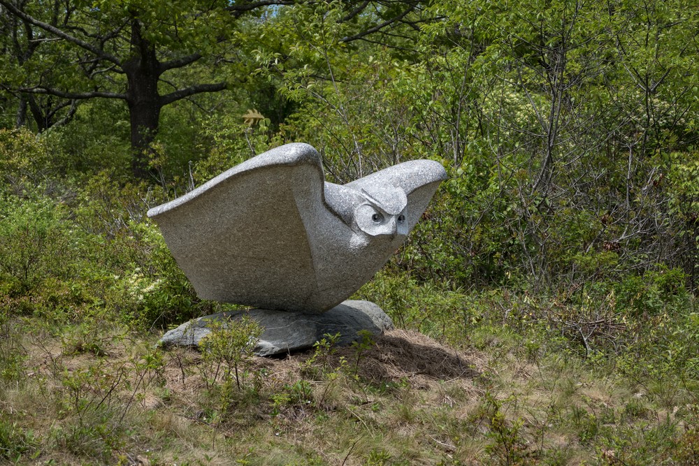 34: Owl Rising - Andreas von Huene.<br />June 4, 2017 - Well Reserve at Laudholm, Wells, Maine.