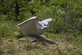 34: Owl Rising - Andreas von Huene.<br />June 4, 2017 - Well Reserve at Laudholm, Wells, Maine.