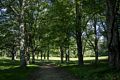June 15, 2017 - Maudslay State Park, Newburyport, Massachusetts.