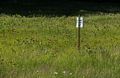Watch out for coyotes.<br />June 15, 2017 - Maudslay State Park, Newburyport, Massachusetts.