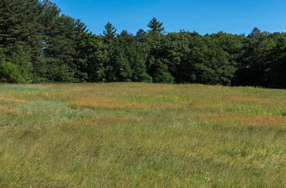 June 15, 2017 - Maudslay State Park, Newburyport, Massachusetts.