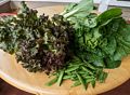 Vegetables from Paul's garden.<br />June 19, 2017 - At home in Merrimac, Massachusetts.