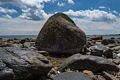 My rock, quite bare of sand.<br />June 20, 2017 - Sandy Point State Reservation, Plum Island, Massachusetts.
