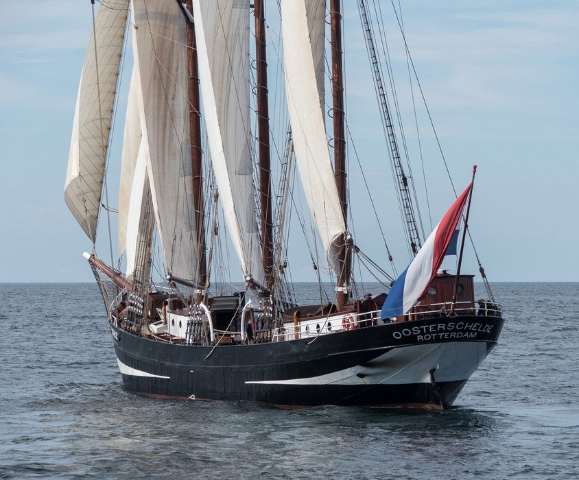 Oosterschelde, Rotterdam, Netherlands.<br />Boston Tall Ships 2017 departure.<br />June 22, 2017 - Off Gloucester, Massachusetts.