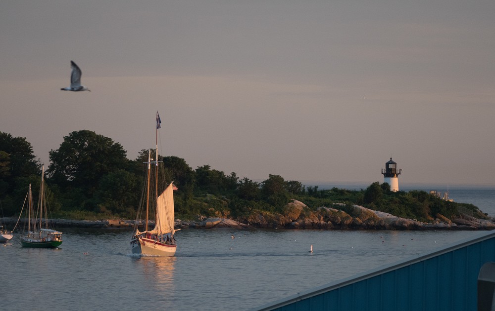 Ardelle.<br />June 22, 2017 - Gloucester, Massachusetts.