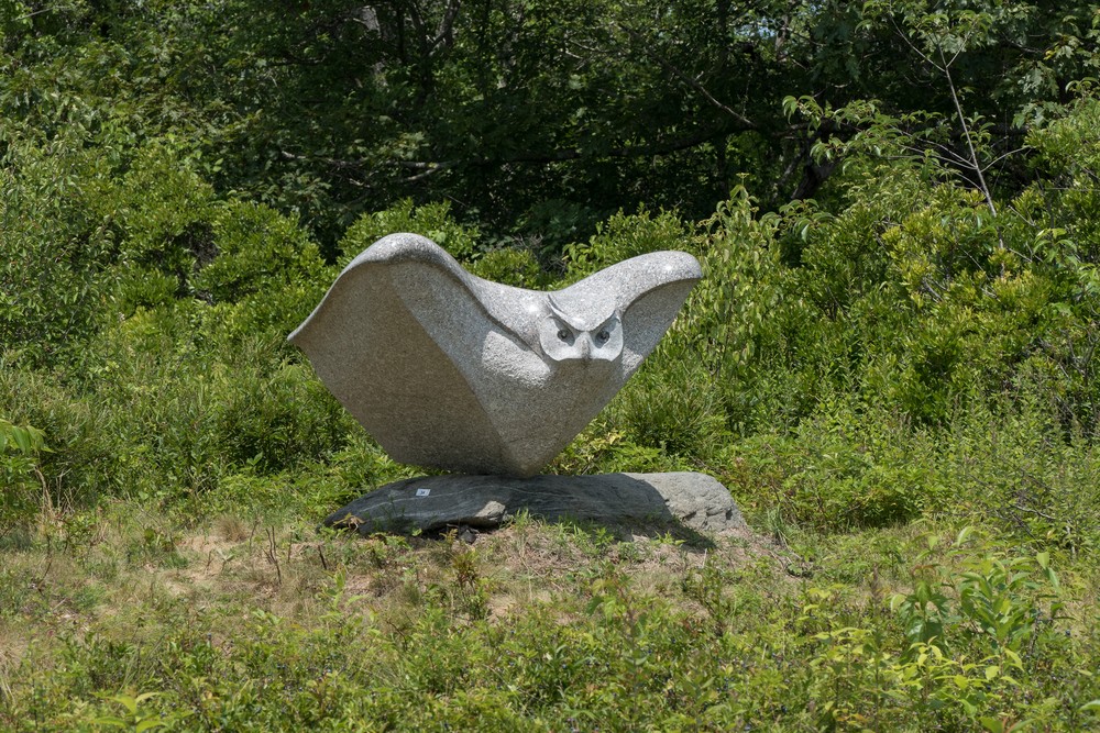 34: Owl Rising - Andreas von Huene.<br />July 21, 2017 - Wells Reserve at Laudholm, Wells, Maine.