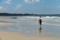 Joyce on Drake's Island beach.<br />July 21, 2017 - Wells Reserve at Laudholm, Wells, Maine.