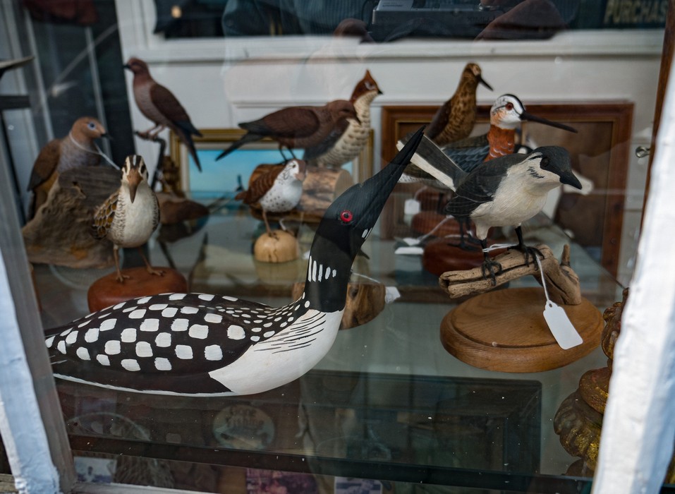 Wooden birds in shop window.<br />July 21, 2017 - Portsmouth, New Hampshire.